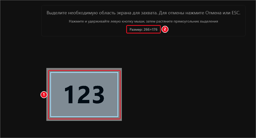Рамка выделения вокруг числа 123, вверху «Размер: 266×176»