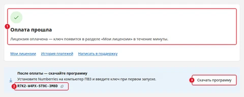 Экран «Результат оплаты» после покупки одного ключа: «Оплата прошла» (1), новый ключ со значком копирования (2) и кнопка «Скачать программу» (3) в блоке «После оплаты — скачайте программу»
