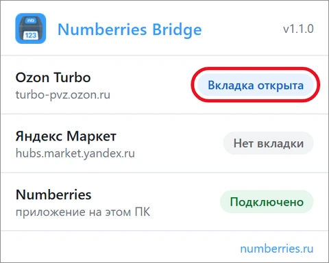Окошко Numberries Bridge: у Ozon Turbo синяя метка «Вкладка открыта», Numberries — «Подключено»