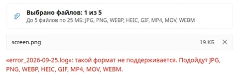 Под кнопкой «Выбрано файлов: 1 из 5» в списке файл screen.png размером 19 КБ; ниже красным сообщение «„error_2026-09-25.log“: такой формат не поддерживается. Подойдут JPG, PNG, WEBP, HEIC, GIF, MP4, MOV, WEBM.»