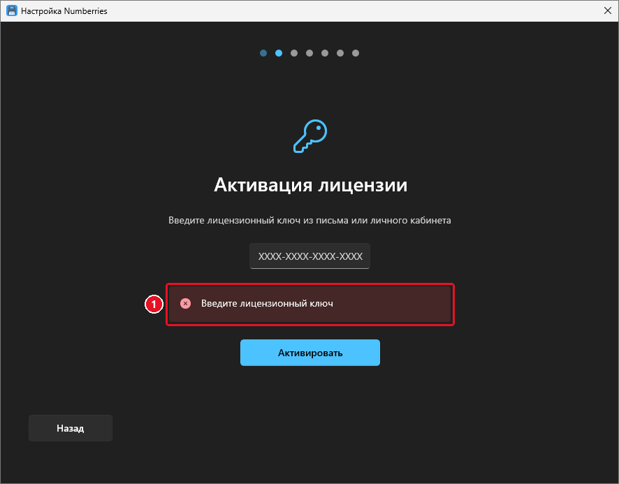 Шаг «Активация лицензии»: под пустым полем ключа красная полоса «Введите лицензионный ключ»
