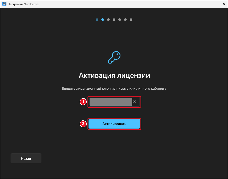 Шаг «Активация лицензии» с введённым ключом: ключ в поле закрыт серым прямоугольником, справа от него крестик очистки, ниже кнопка «Активировать»