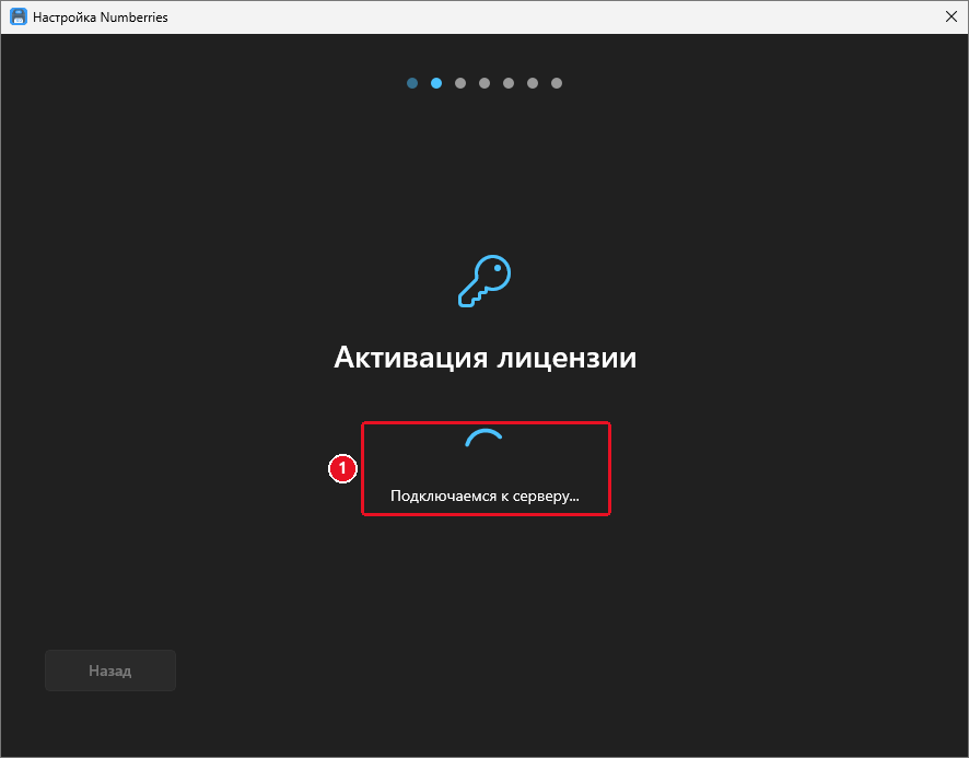 Шаг «Активация лицензии» во время проверки: вращающийся круг и надпись «Подключаемся к серверу...»; кнопка «Назад» неактивна