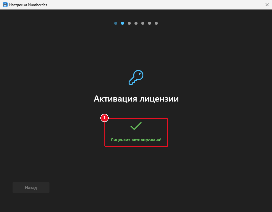 Шаг «Активация лицензии» после успешной проверки: большая зелёная галочка и надпись «Лицензия активирована!»