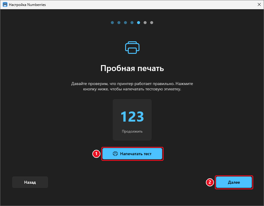 Шаг «Пробная печать»: карточка с числом 123, кнопка «Напечатать тест», внизу «Назад» и «Далее»