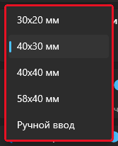 Карточка «Настройки этикетки» в главном окне Numberries: открытый список размеров 30×20, 40×30, 40×40, 58×40 мм и «Ручной ввод»