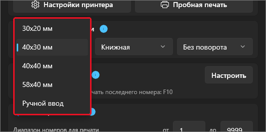 Карточка «Настройки этикетки» в главном окне Numberries: открытый список размеров 30×20, 40×30, 40×40, 58×40 мм и «Ручной ввод»